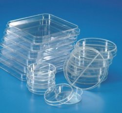 Petriskål, Ø100 mm, steril, /st