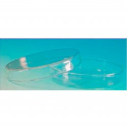 Petriskål glas Ø6×1,5cm, /st