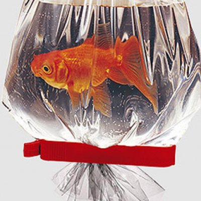 Bag PE 0.04-250x320 /5000 pcs/500 pcs/pack